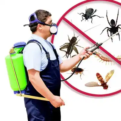 pest control Higginsville